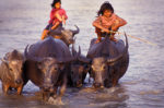 Jim Holmes - The Lower Mekong, a river in flux.
