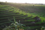 Tim Hannigan - The History Archipelago Travels in Search of Indonesia’s Past 1
