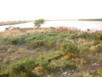 David Redford - Nile-junction-Khartoum